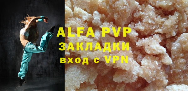 дмт Пересвет
