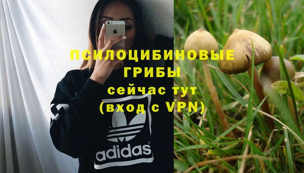мдпв Инта