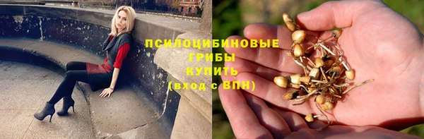 первитин Абаза
